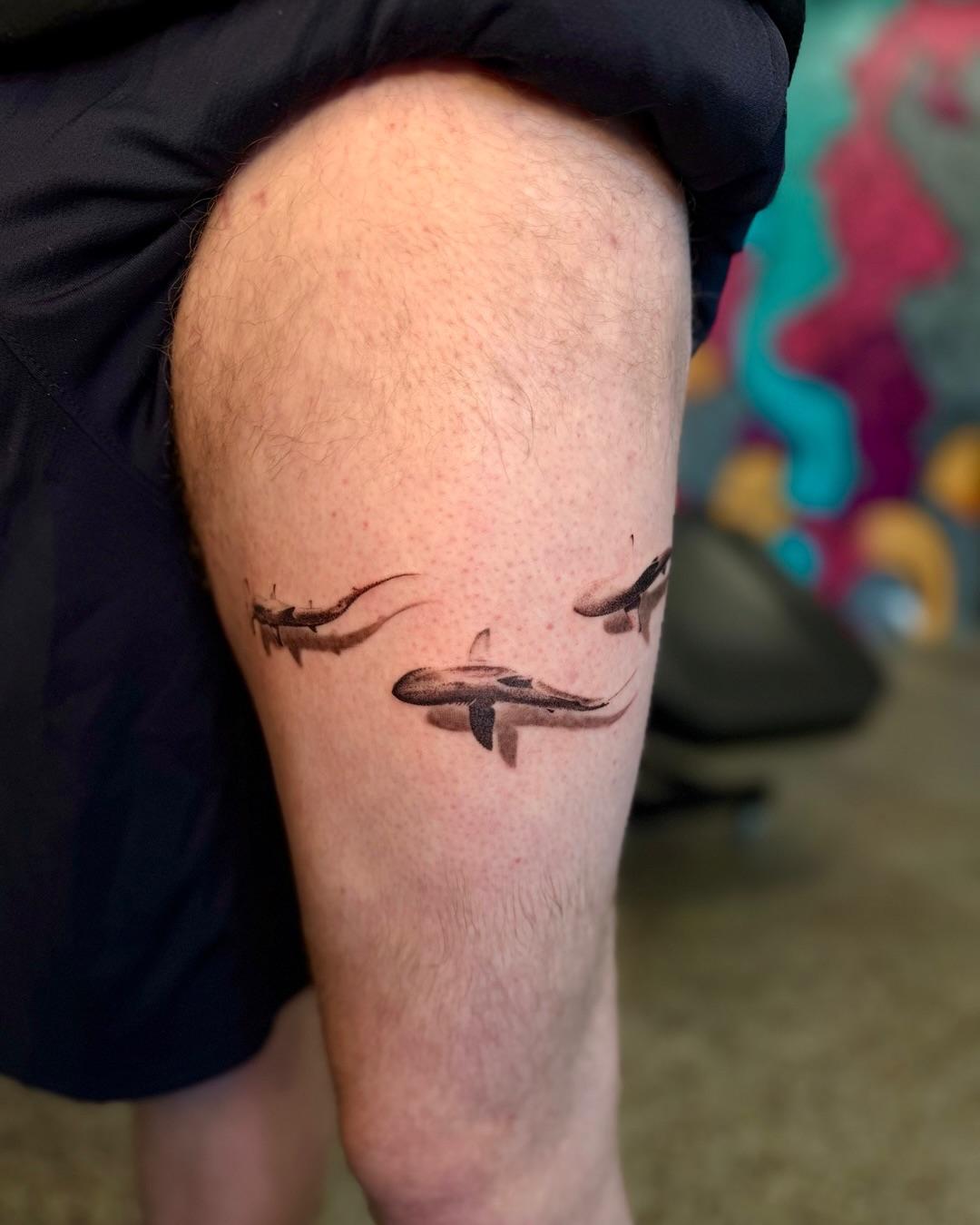Three fine-line sharks swimming across a calf.